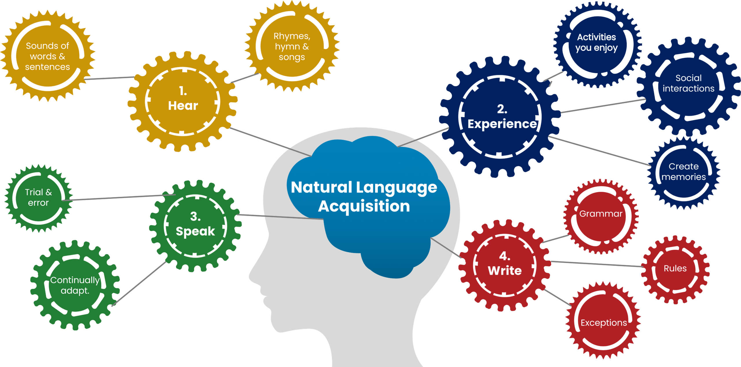 Natural Language Acquisition brain works